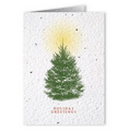Plantable Seed Paper Holiday Greeting Card - - Holiday Greetings (Evergreen Christmas Tree)